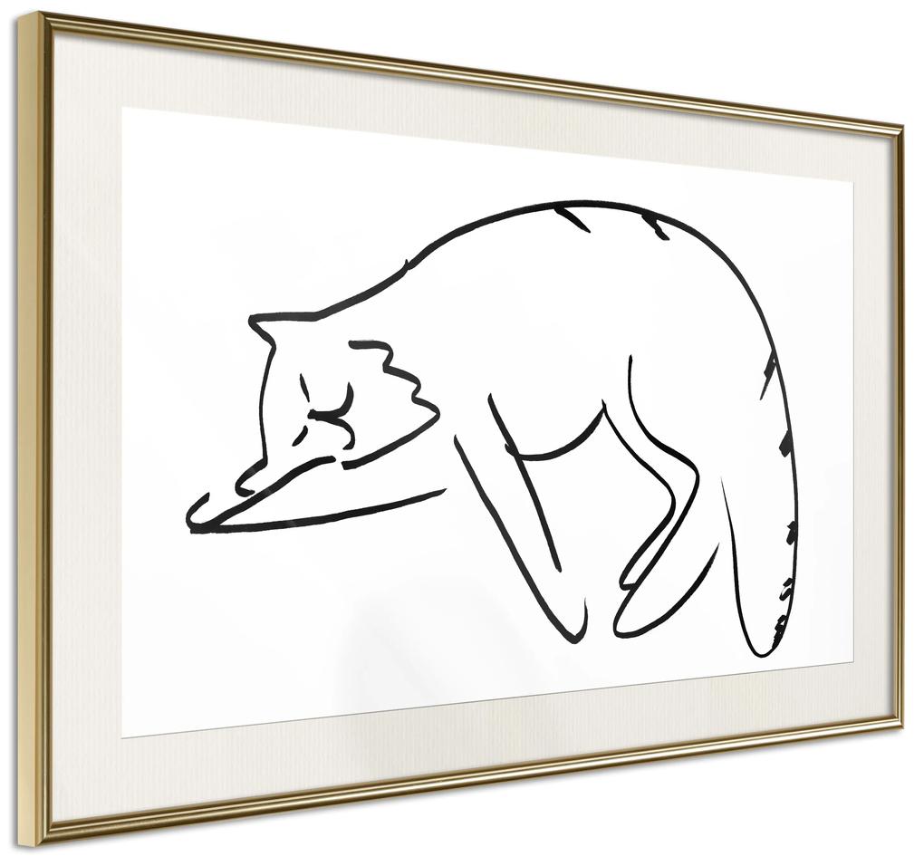 Artgeist Plagát - Cat's Dreams [Poster] Veľkosť: 30x20, Verzia: Zlatý rám s passe-partout