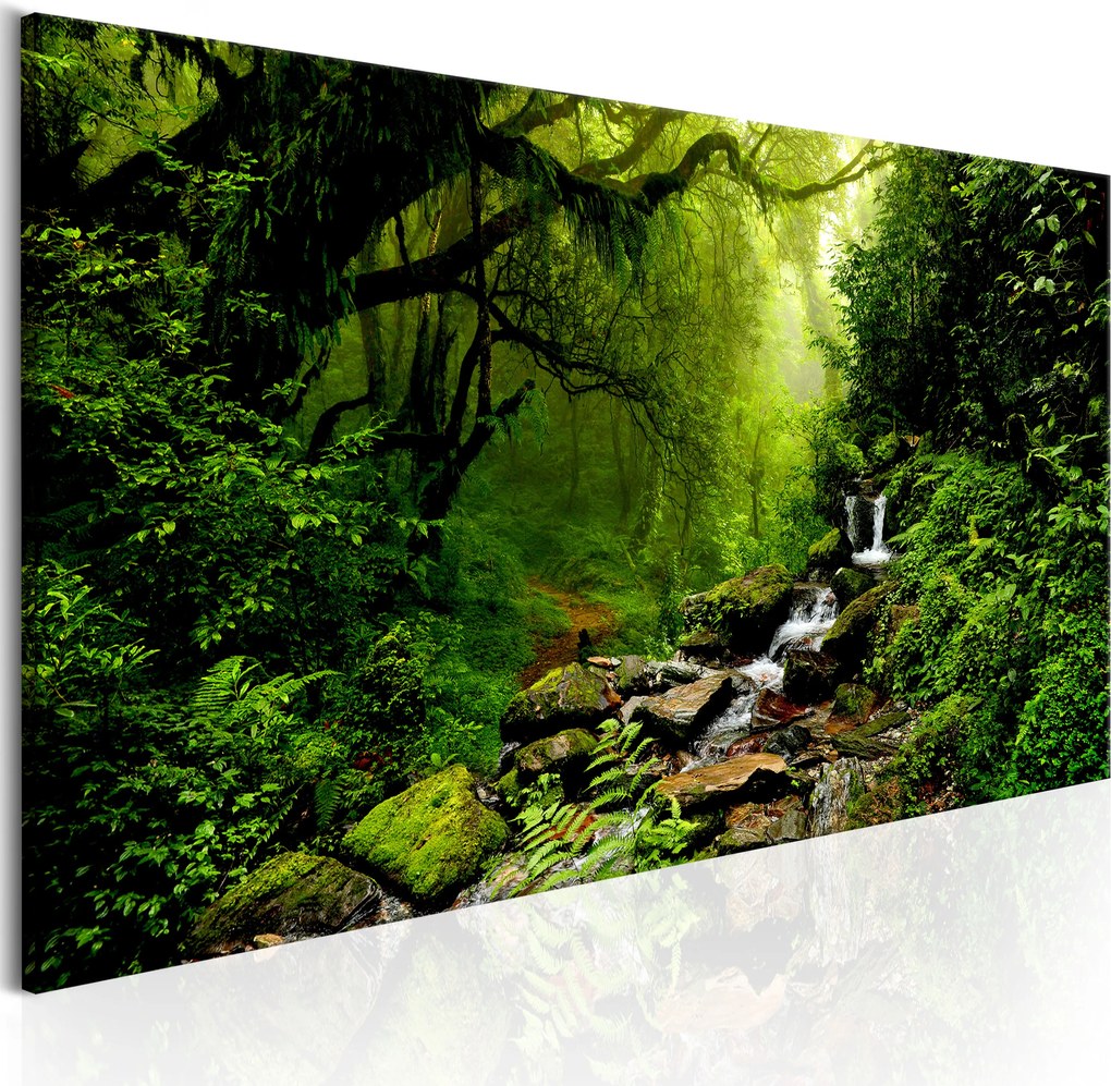Obraz - The Fairytale Forest 150x50