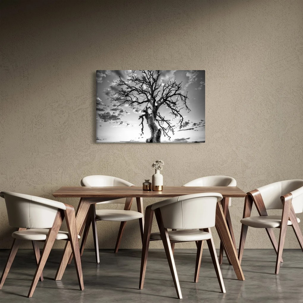 Obraz - Čiernobiely strom (90x60 cm)