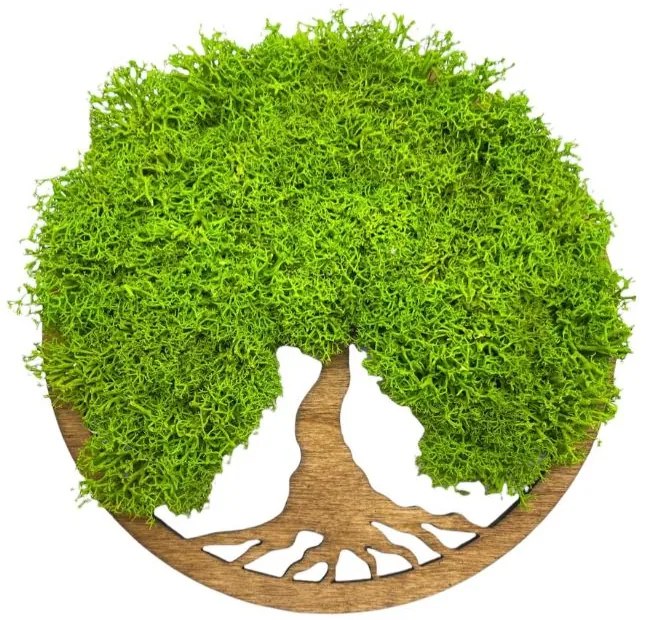 Strom na stenu z machu Aine 20 cm