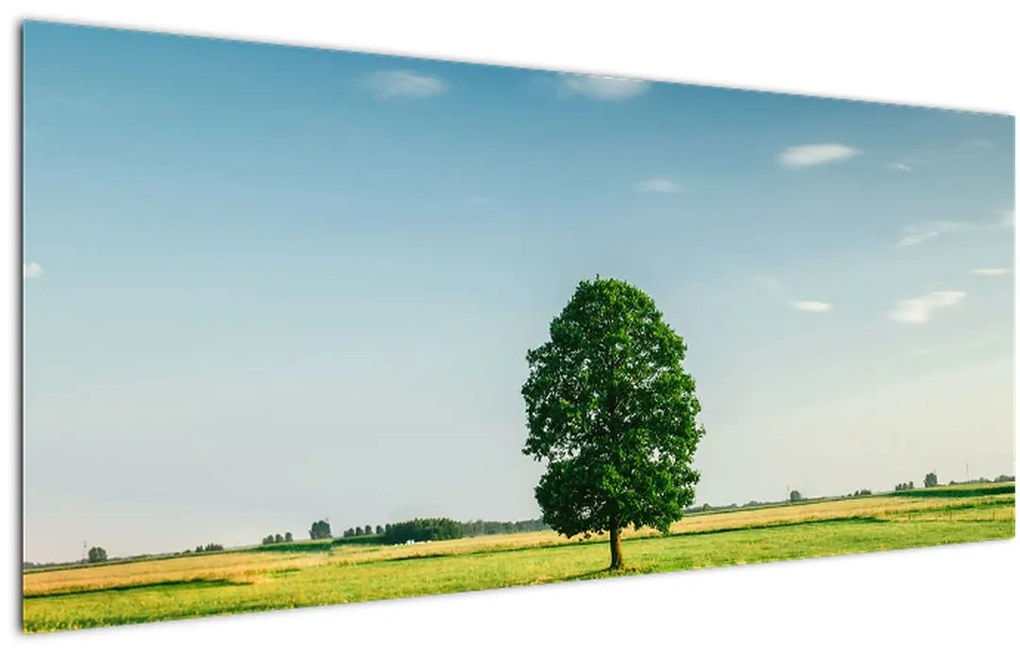 Obraz stromu uprostred lúky (120x50 cm)