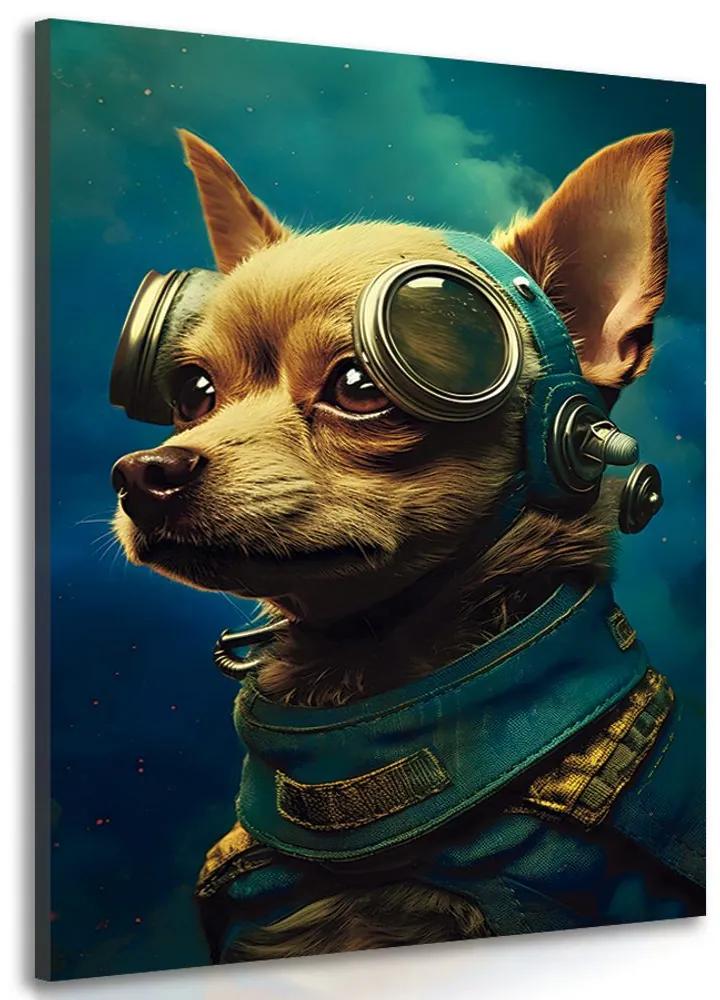 Obraz modro-zlatý pes Varianta: 40x60
