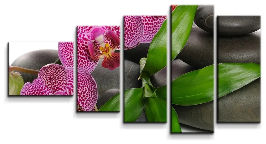 Sablio Obraz - 5-dílný Orchidey a kamene - 100x60 cm