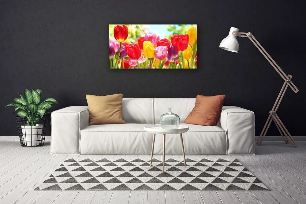 Obraz Canvas Tulipány kvety rastlina 100x50 cm