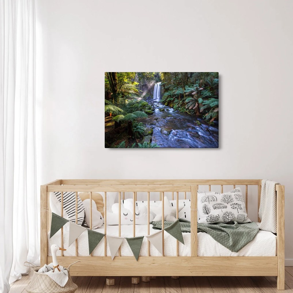 Obraz australského dažďového lesa (90x60 cm)