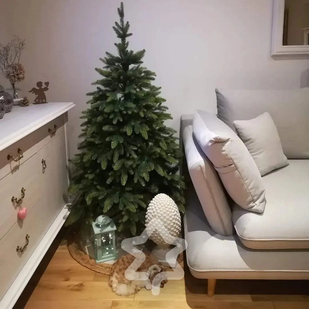 Smrek Tajga 3D 180 cm