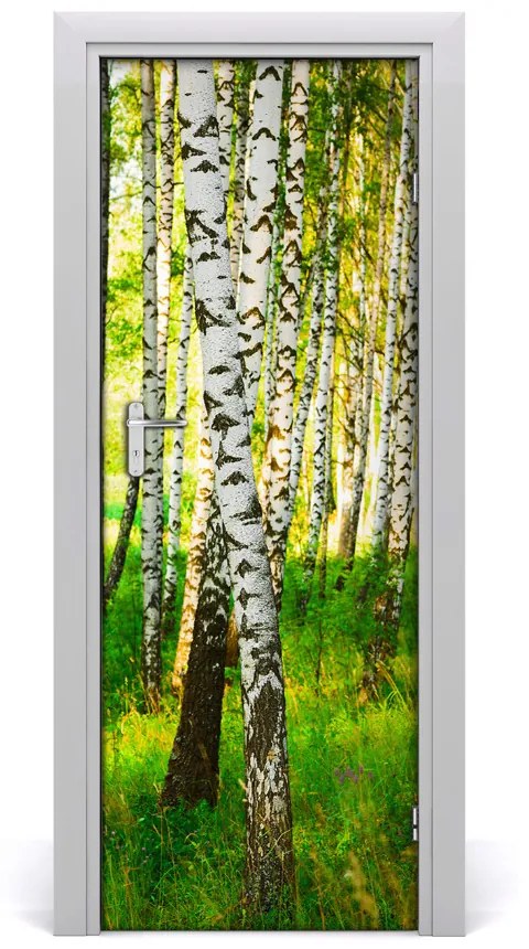 Fototapeta na dvere samolepiace Břízová les 85x205 cm