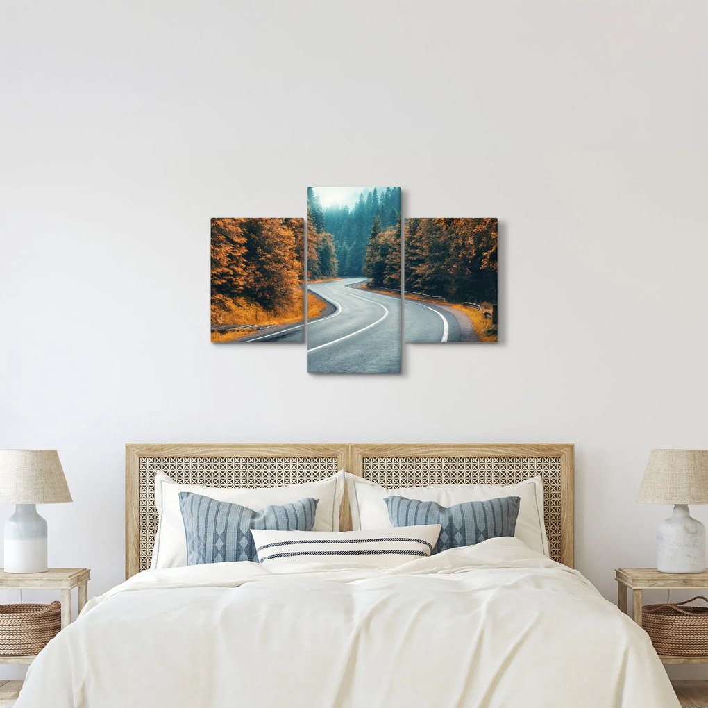 Obraz - Kľukatá cesta (90x60 cm)