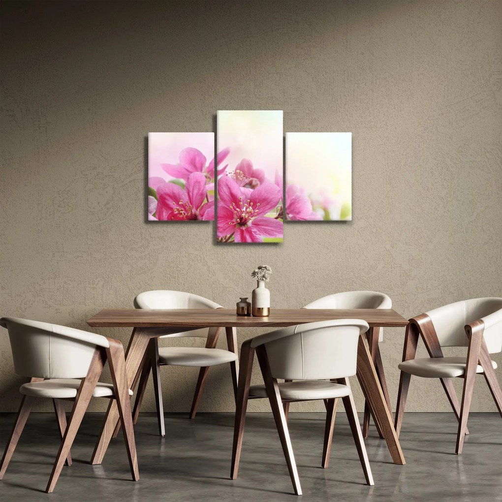 Obraz - Ružové kvety (90x60 cm)