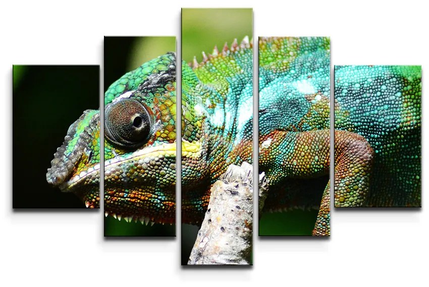 Sablio Obraz - 5-dílný Chameleón - 125x90 cm