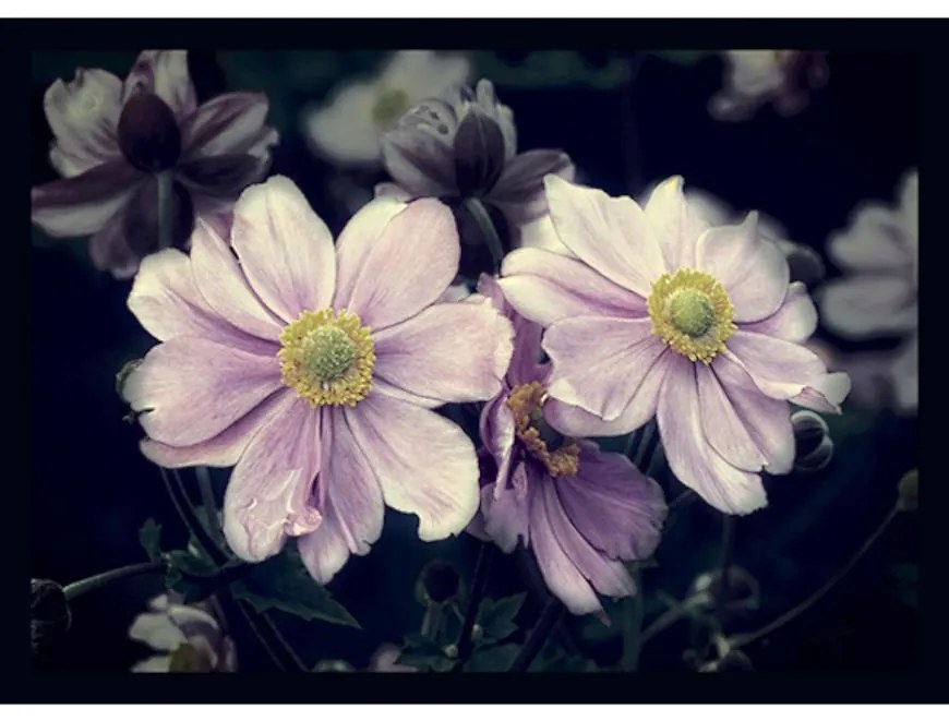 Rohožka 40x60 flower 02060090