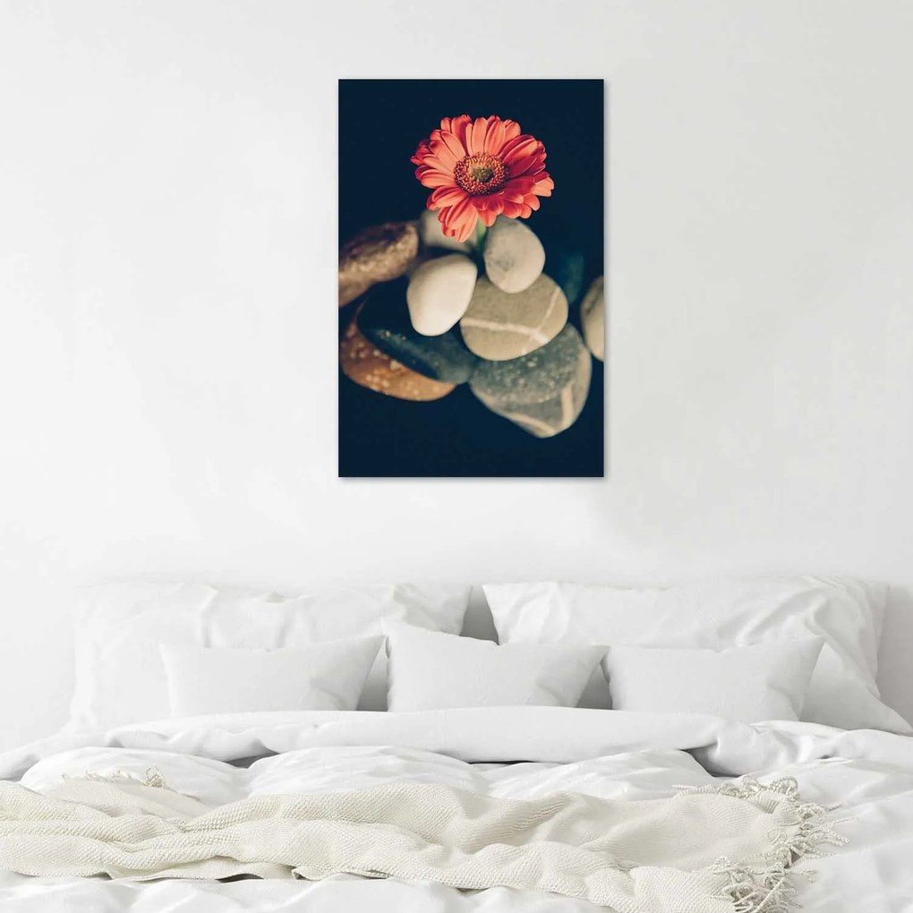 Gario Plagát Gerbera a kamene Farba rámu: Bez rámu, Rozmery: 40 x 60 cm
