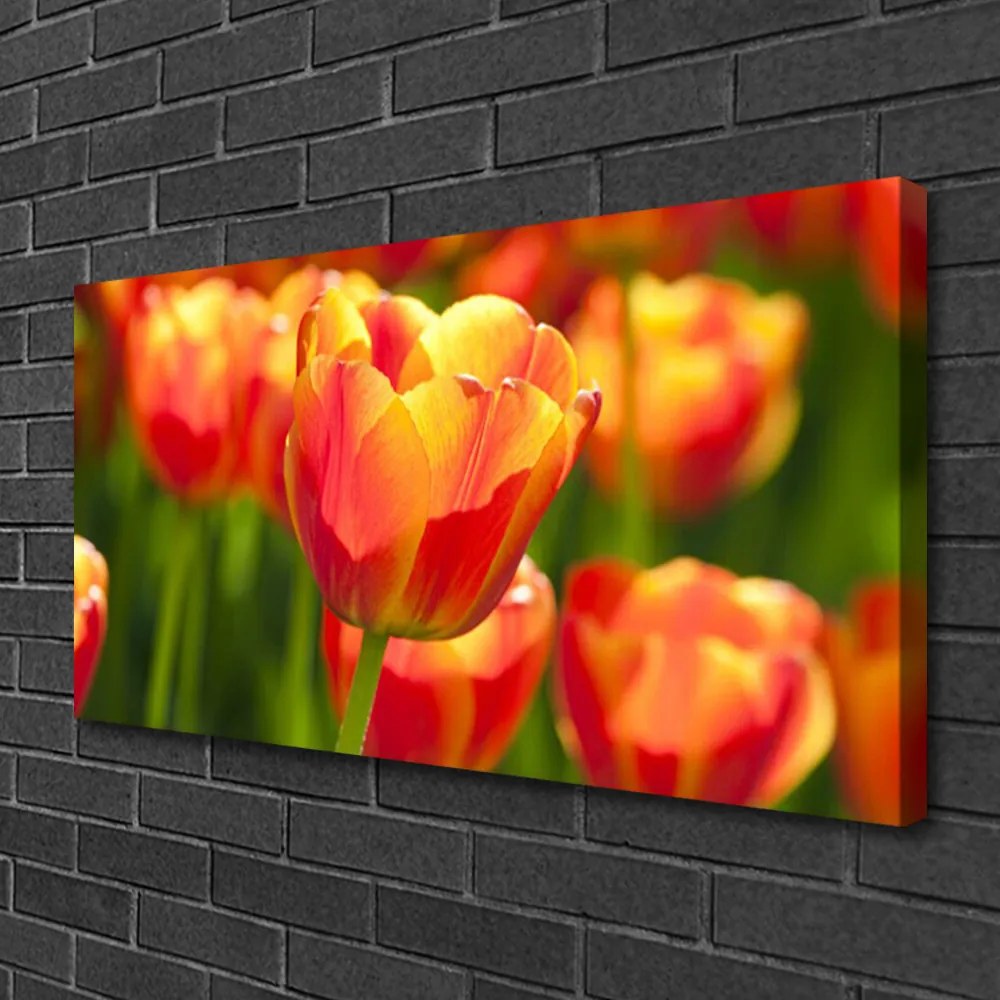 Obraz Canvas Tulipány kvety rastlina 125x50 cm