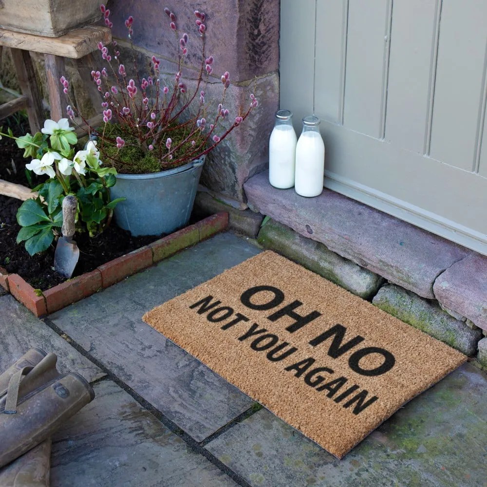 Rohožka z kokosového vlákna 40x60 cm Not You Again – Artsy Doormats