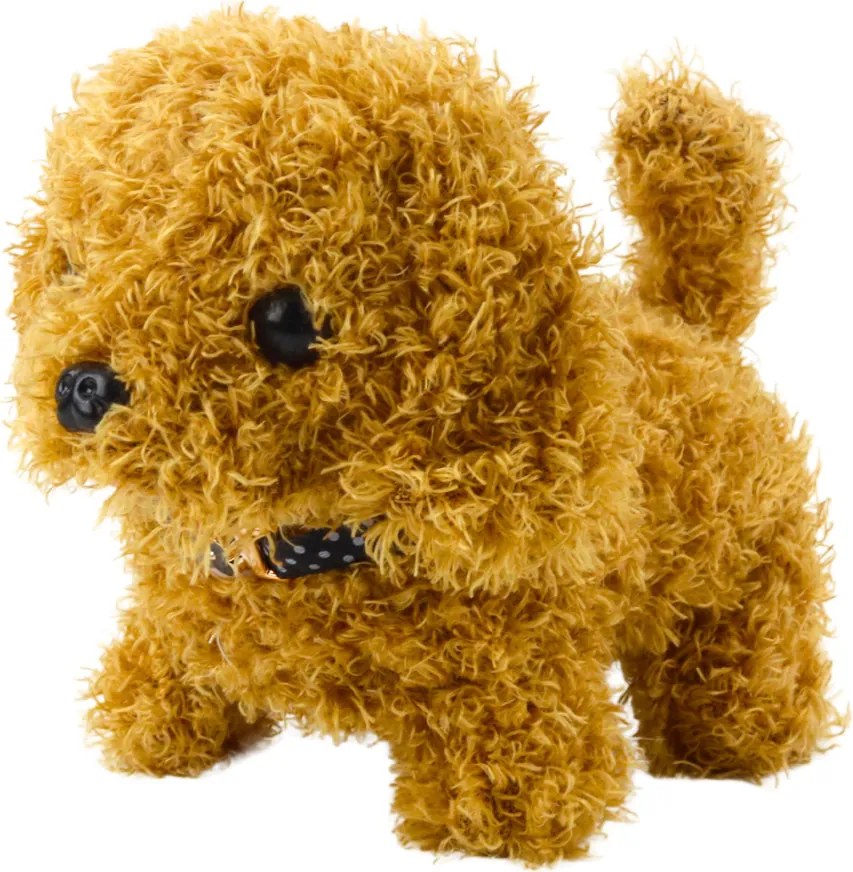 LEAN Toys Interaktívny plyšový pes pudel chodí šteká nosič príslušenstvo