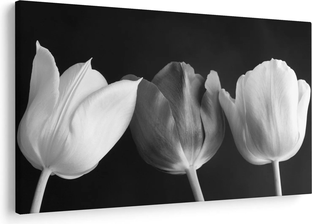 Obraz - Čiernobiele kvety tulipánov (90x60 cm)