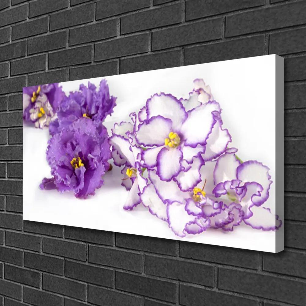 Obraz na plátne Kvet rastlina príroda 125x50 cm