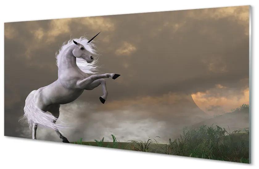 Obraz na akrylátovom skle Unicorn top 100x50 cm
