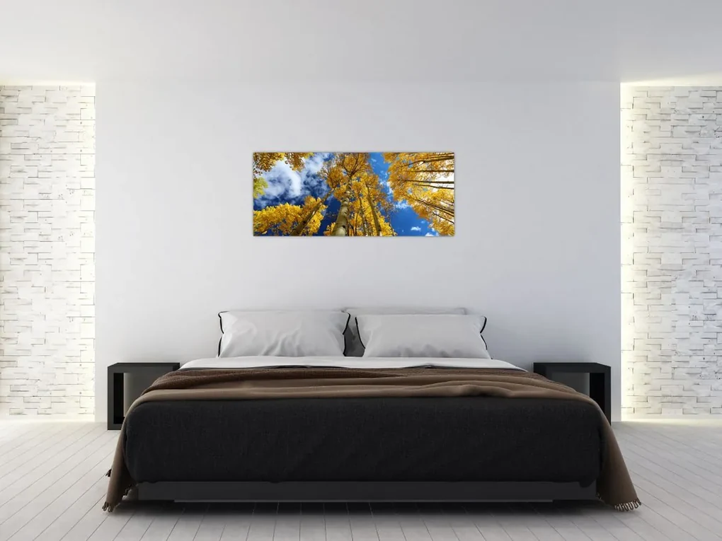 Obraz - Aspen (120x50 cm)