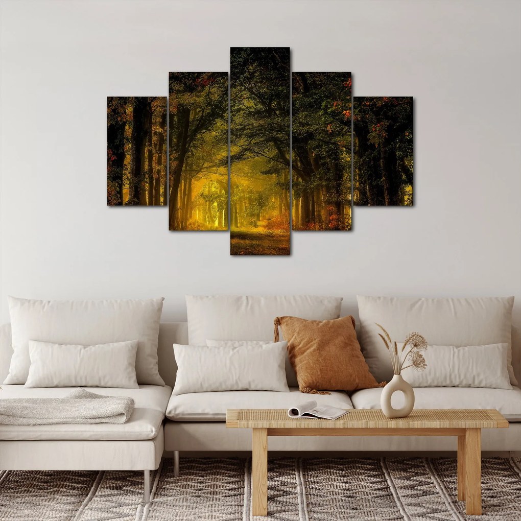 Obraz lesu (150x105 cm)