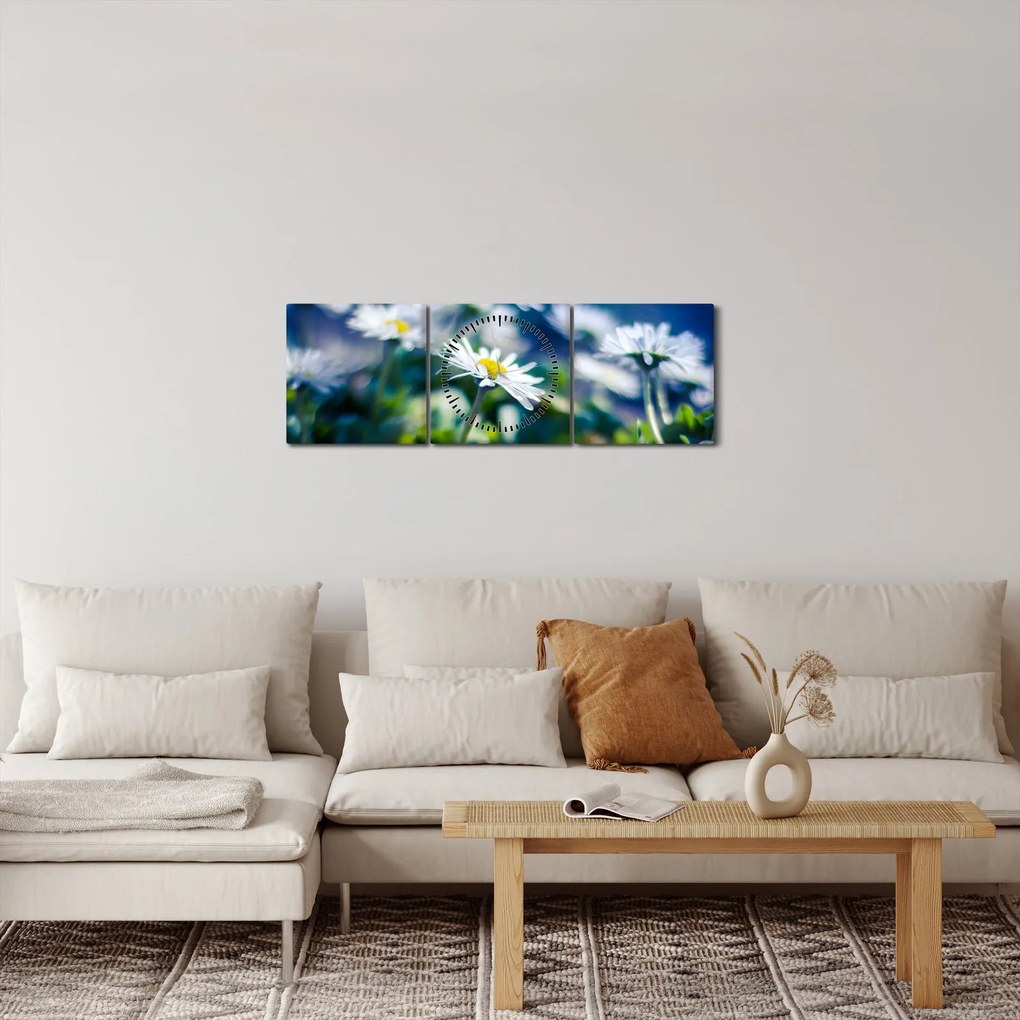 Obraz sedmokrások (s hodinami) (90x30 cm)