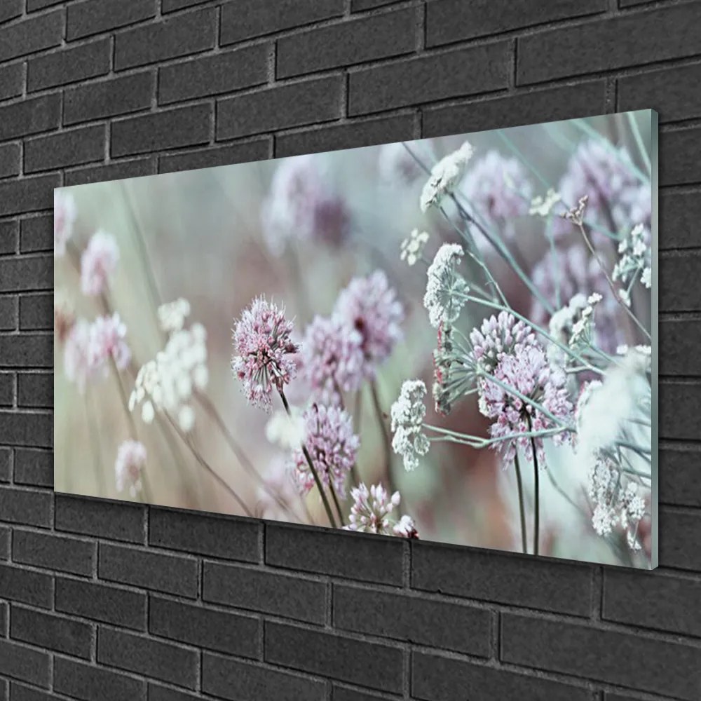 Skleneny obraz Poľné kvety lúka príroda 120x60 cm