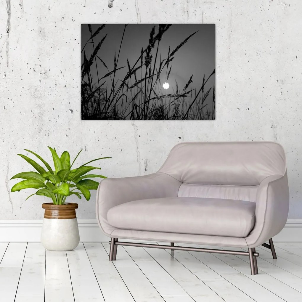 Obraz - Lúka so západom slnka (70x50 cm)
