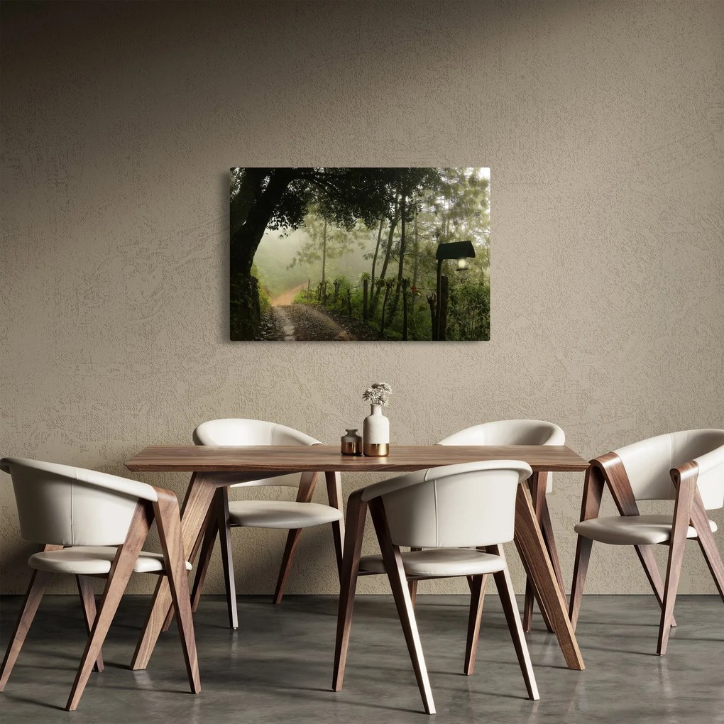 Obraz rannej hmly (90x60 cm)