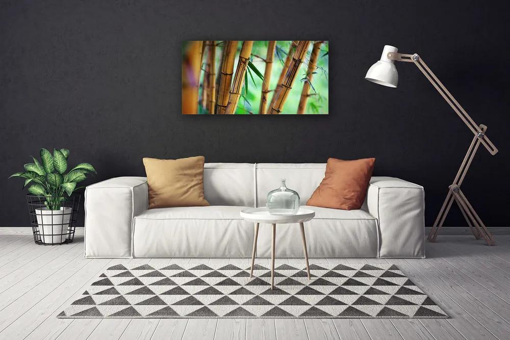 Obraz na plátne Bambus príroda rastlina 125x50 cm