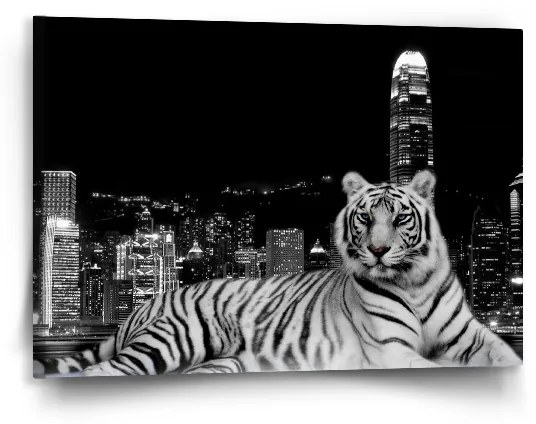 Sablio Obraz Mestský tiger - 90x60 cm