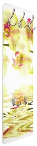 Vešiak na stenu Vysnená orchidea