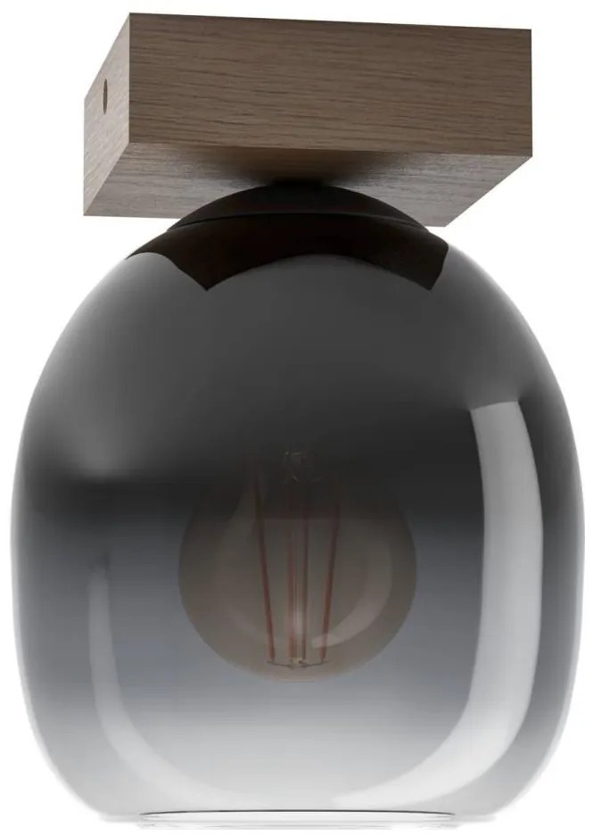 Eglo 900825 - Stropné svietidlo FILAGO 1xE27/40W/230V