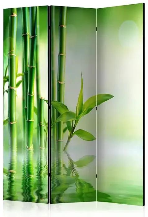 Paraván - Green Bamboo [Room Dividers] Veľkosť: 135x172, Verzia: Obojstranný