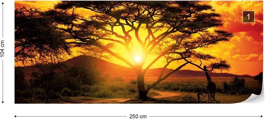 Fototapeta GLIX - Sunset Africa Nature Tree + lepidlo ZADARMO Vliesová tapeta  - 250x104 cm