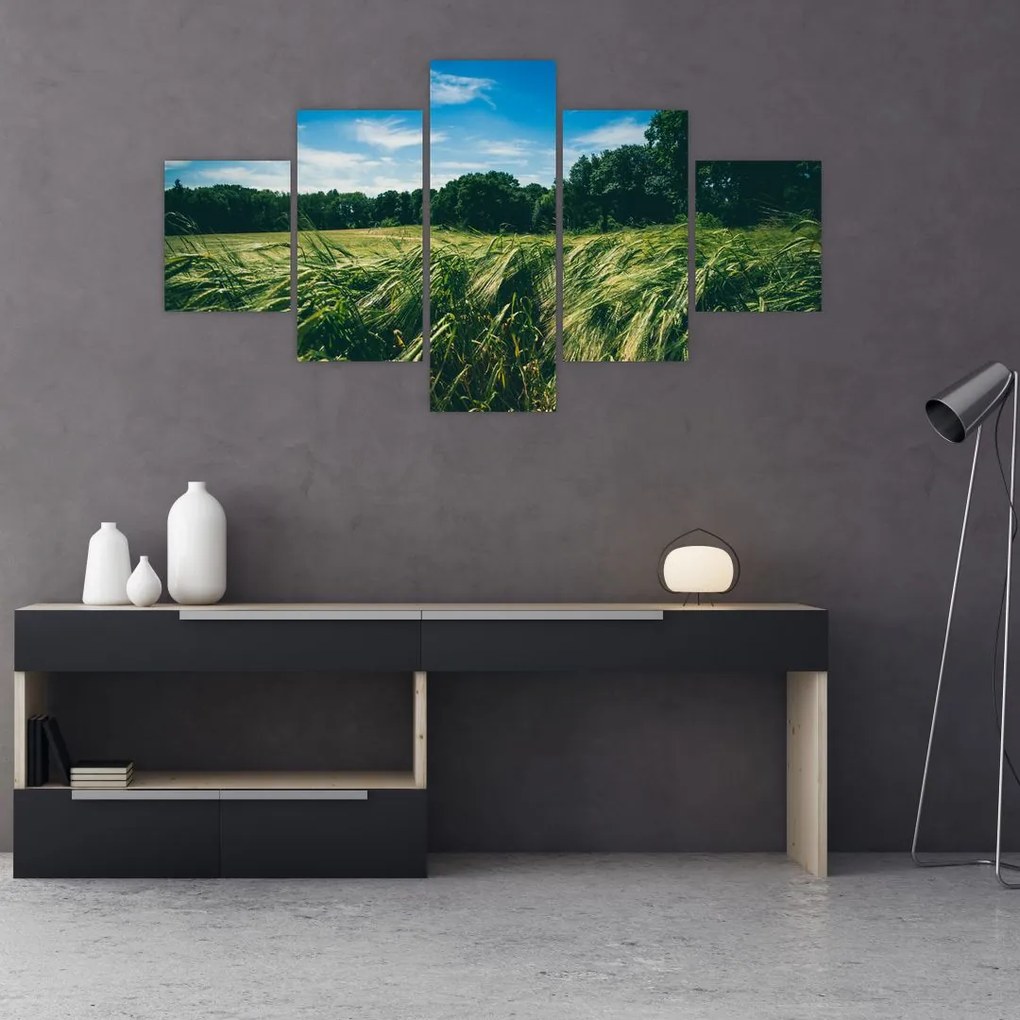 Obraz lúky a lesa (125x70 cm), 40 ďalších rozmerov