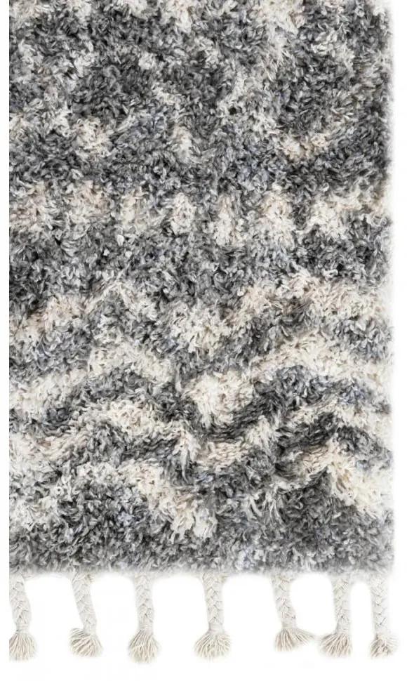 Kusový koberec shaggy Alsea tmavo sivý 200x300cm