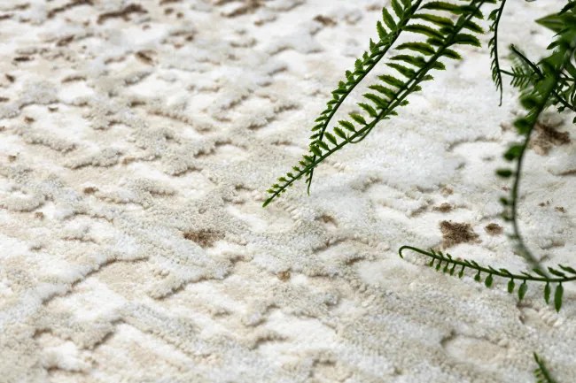 Koberec ALLURE 4271 krémový / béžový