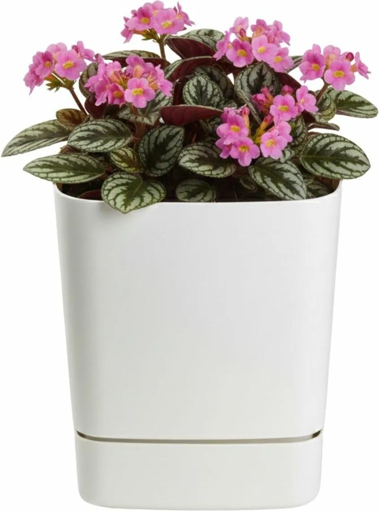 Plastový květináč s podmiskou Cubi 16x16 cm - výber z 6 prevedení