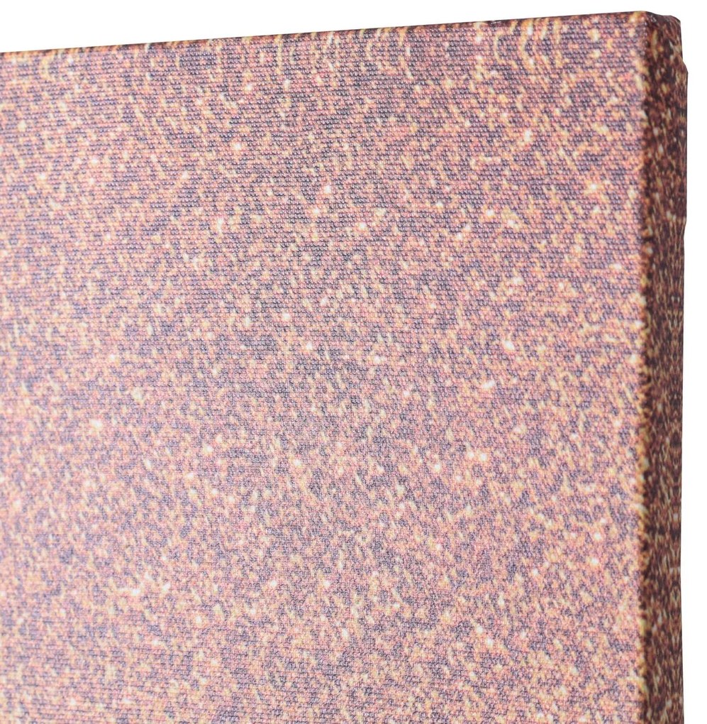 Plátno maľba Ethnic 70x100cm