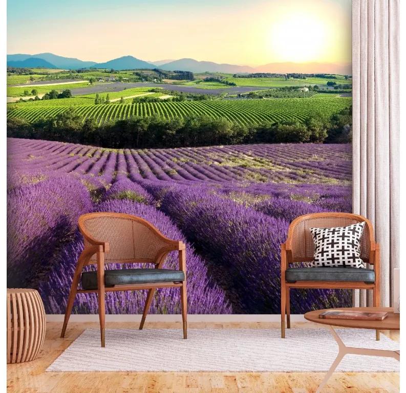 Artgeist Fototapeta - Lavender Field Veľkosť: 100x70, Verzia: Standard