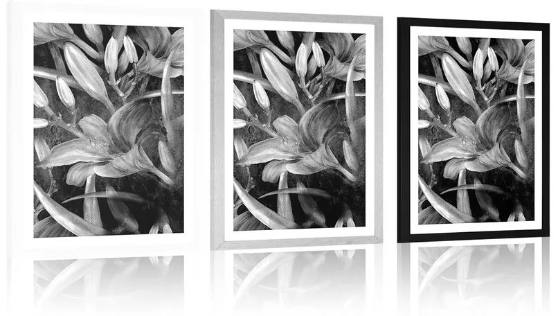 Plagát s paspartou rozkvet ľalie v čiernobielom prevedení - 40x60 silver