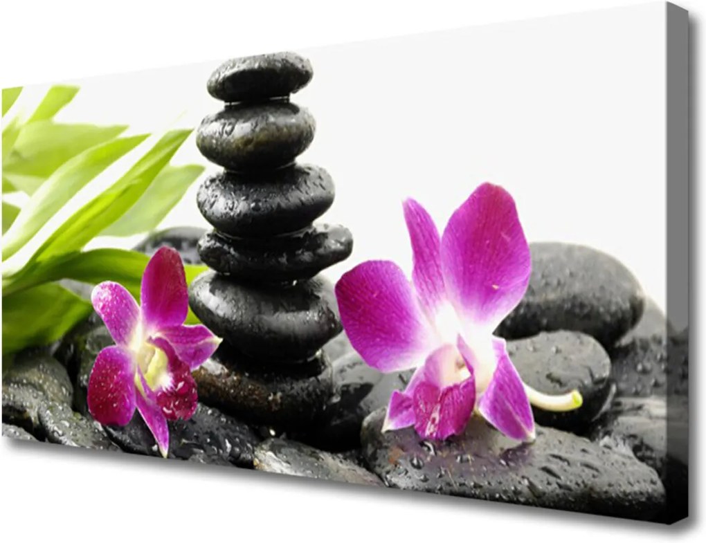 Obraz Canvas Kamene Zen Kúpele Orchidea