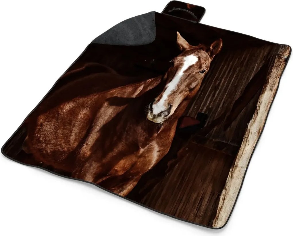 Sablio Plážová deka Kôň v stajni: 200x140 cm