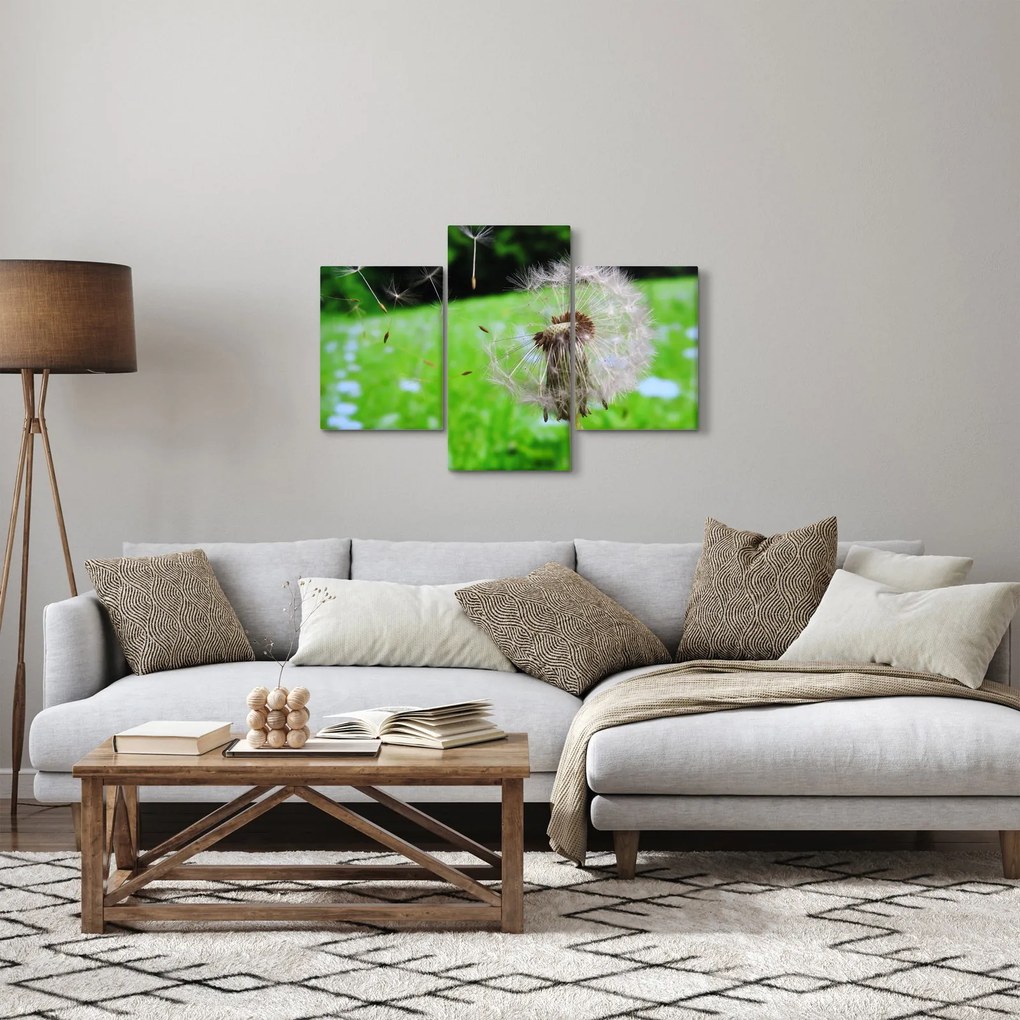 Obraz púpavy (90x60 cm)