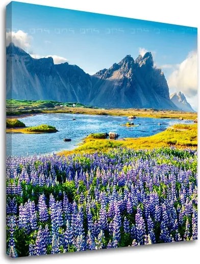 Obraz na stenu LÚKA_047-12