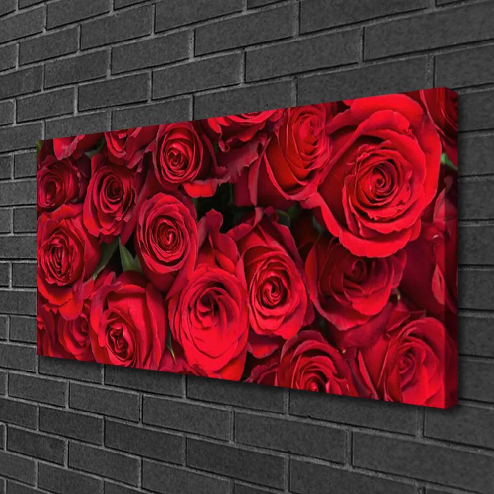 Obraz Canvas Červené ruže kvety príroda 120x60 cm