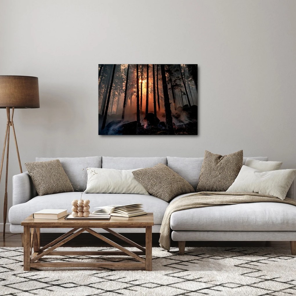 Obraz temného lesa (70x50 cm)