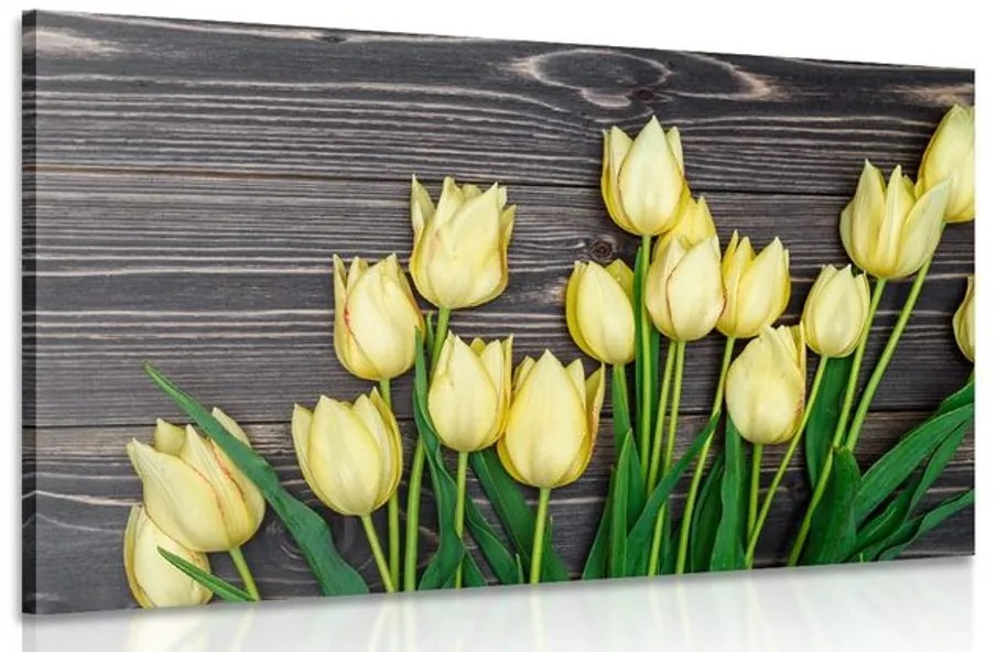 Obraz očarujúce žlté tulipány na drevenom podklade