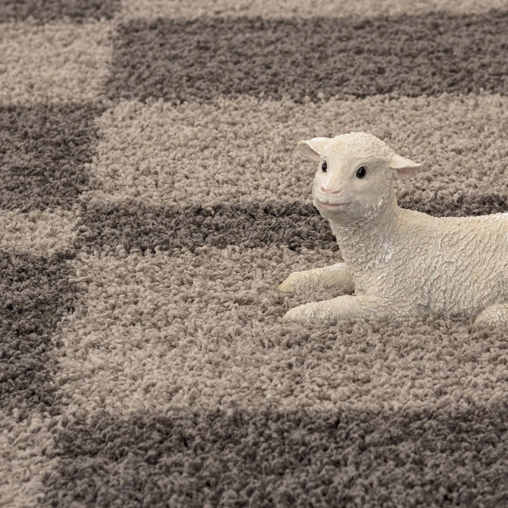 Ayyildiz, AKCIA: 200x290 cm Kusový koberec Gala 2505 taupe, hnedá, obývacia izba