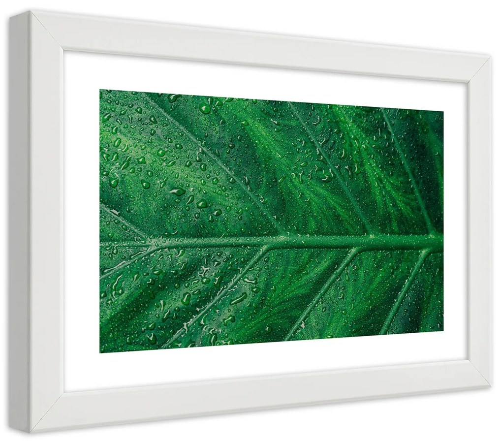 Gario Plagát Mokrý list v detailnom zábere Farba rámu: Bez rámu, Rozmery: 30 x 20 cm